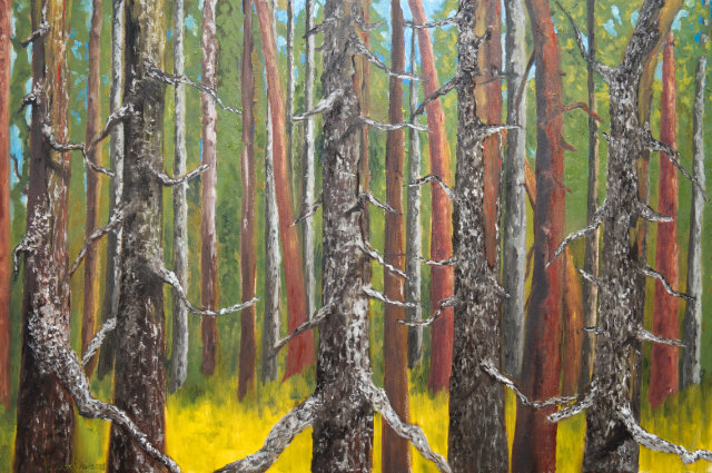 <B>Cathedral Grove</B> <BR>Parc provincial MacMillan</B> <BR>Île de Vancouver, C.B.</B> <BR>Acrylique sur toile galerie</B> <BR>101.6 cm x 76.2 cm  (40