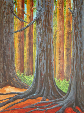 CathedralGrove640.jpg