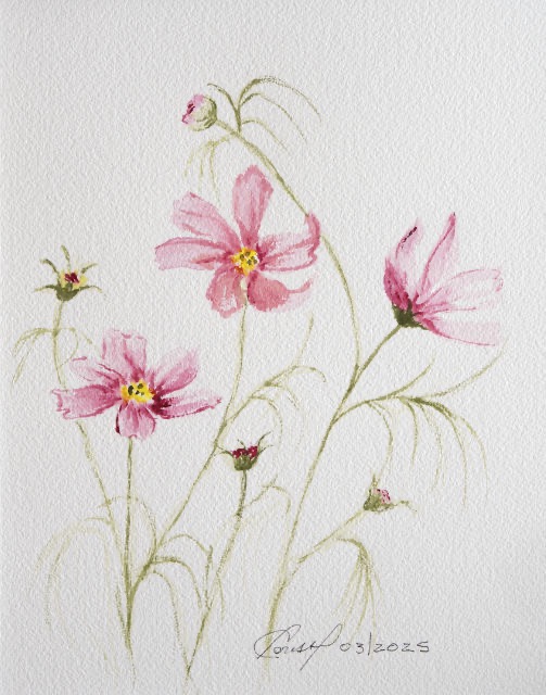 <B>Echinacées</B> <span style=color:purple>●</span>  <BR>Aquarelle sur papier <BR>19.1 cm x 24.1 cm  (7.5