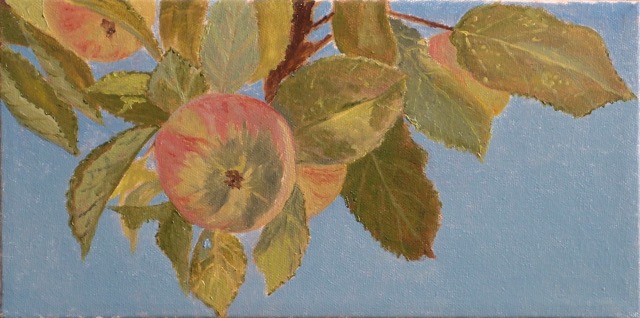  <B>Pommes</B> (Étude) <span style=color:red>●</span> <BR>Huile sur toile  <BR>15.24 cm x 30.48 cm  (6