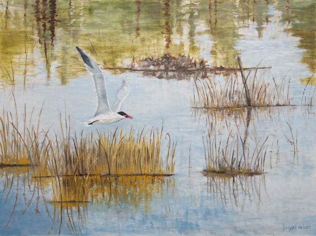 CaspianTern