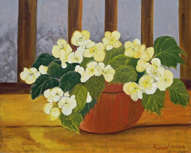 YellowBegonias640