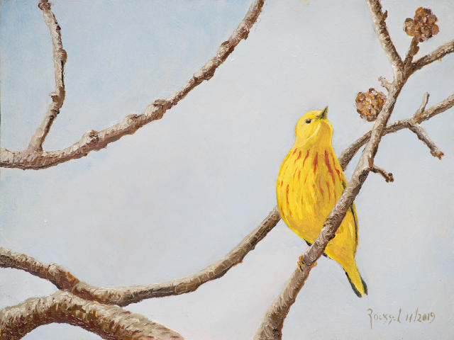 YellowWarbler640