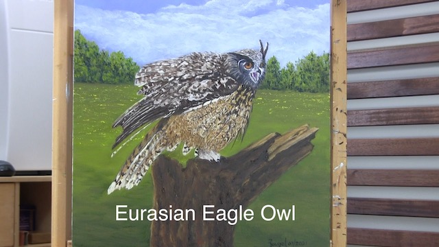 Eurasian Eagle Owl 640