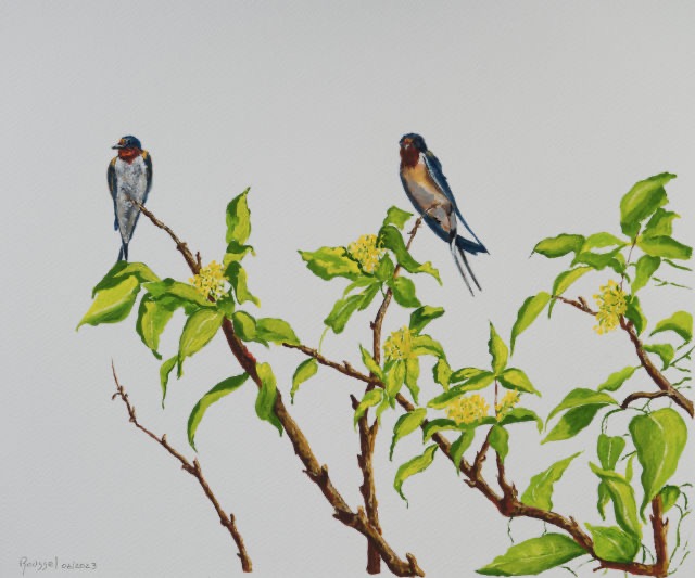 <B>Red-winged Blackbird</B> <BR>Female in Foliage  <BR>Watercolour on paper <BR>30.5 cm x 38.1 cm  (12