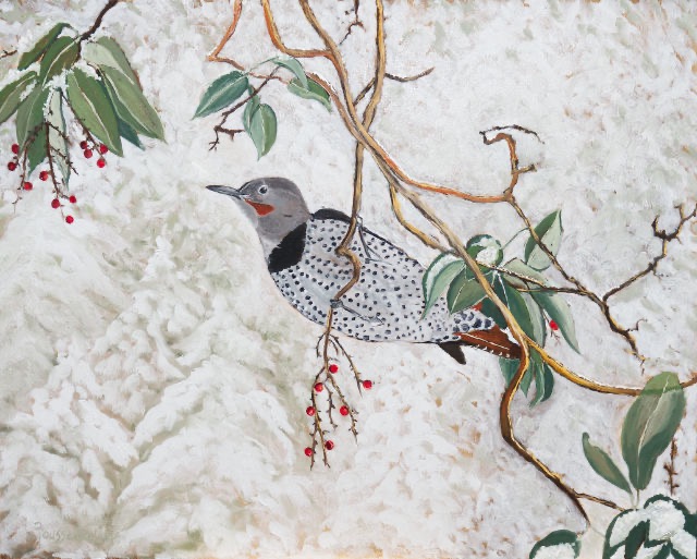 <B>Northern Flicker</B>  <span style=color:purple>●</span> <BR>Oil on birch panel  <BR>40.64 cm x 50.8 cm  (16