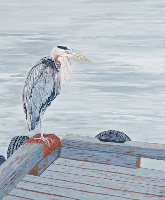 <B>Great Blue Heron</B> <BR>Acrylic on gallery canvas  <BR>60.96 cm x 50.8 cm (24” x 20”) - 2016