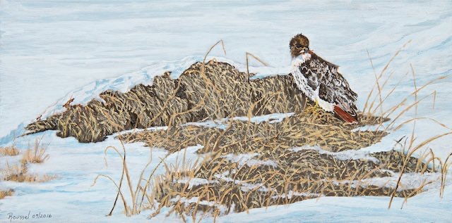 <B>Black Tern Nesting</B>  <span style=color:purple>●</span>  <BR>Oil on gallery canvas  <BR>45.72 cm x 60.96 cm  (18