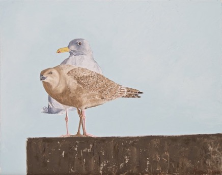 Western Gulls640.jpg