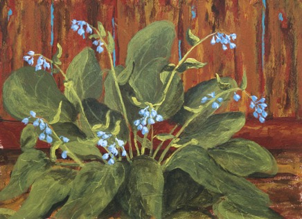 Bluebells640.jpg