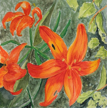OrangeLilies640.jpg