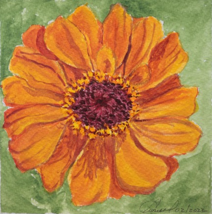 ZinniaTopView640.jpg