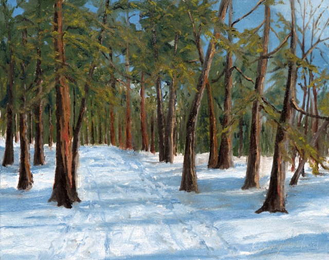 <B>Twisted Pine</B>  <BR>Lighthouse Point Trail  <BR>Killbear Provincial Park, Ont. <BR>Oil on birch panel  <BR>45.72 cm x 60.96 cm  (18