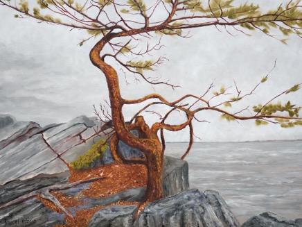 TwistedPine640.jpg