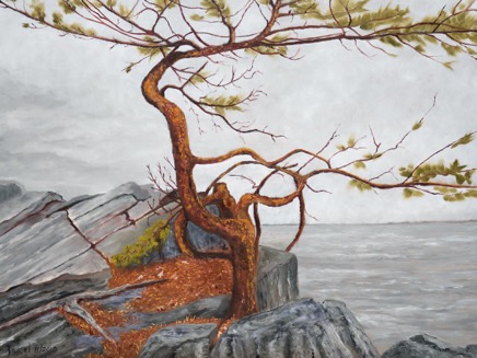 Fallen Tree - Acrylics 640.jpg