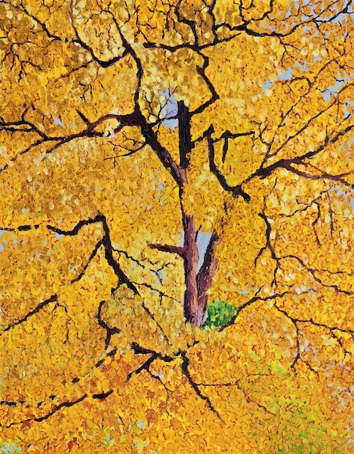 <B>The Yellow Maple</B> <span style=color:red>●</span> <BR>Oil on canvas  <BR>50.8 cm x 40.64 cm  (20