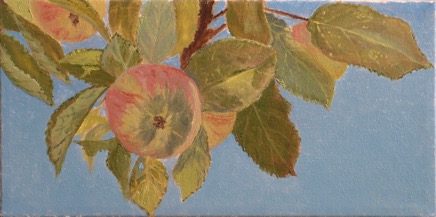 Apple Study.JPG