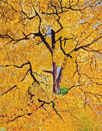 AutumnTree640.jpg