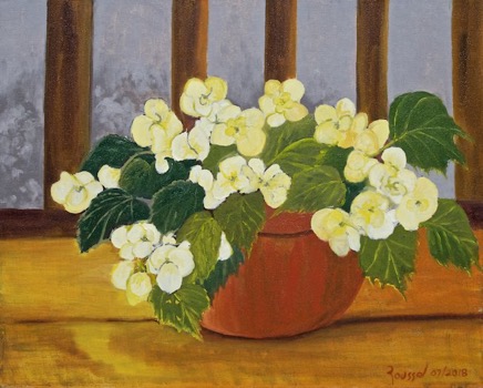 YellowBegonias640.jpg